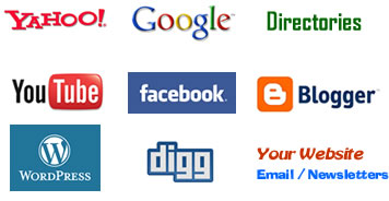 Internet Video Markets